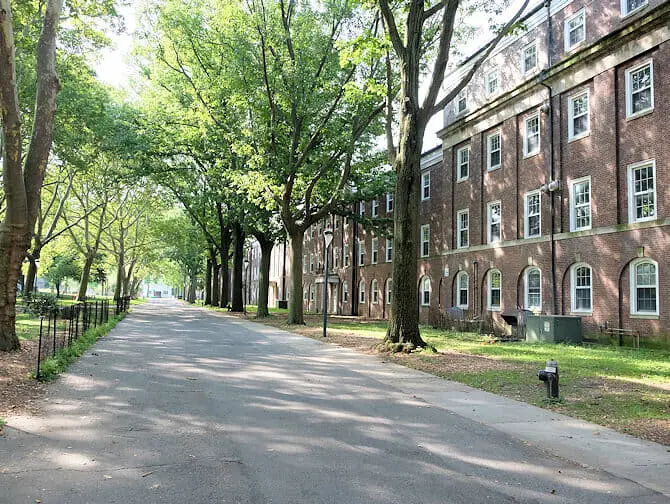 Hvad skal man se på Governors Island - Hus
