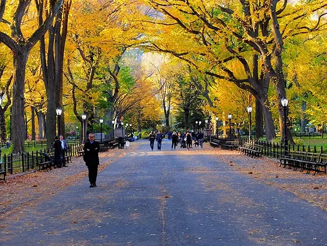 Guidet tur til filmlokationer i Central Park - The Mall
