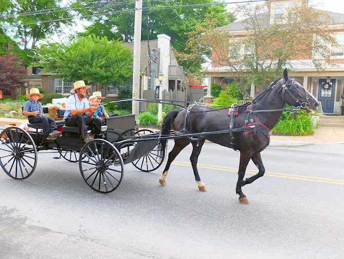 New York til Philadelphia og Amish Country dagstur - Besøg Amish-folket
