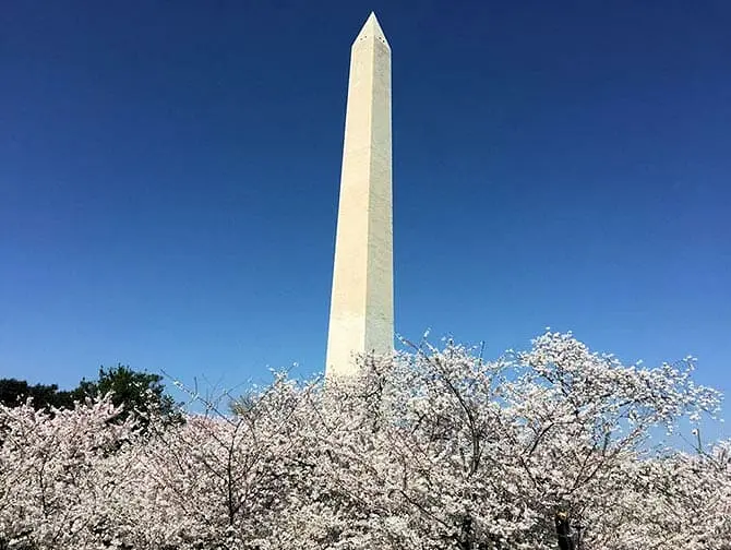 New York til Washington D.C. bustur - Monument