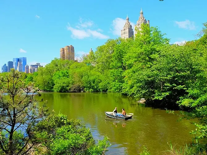 Leje robåd i Central Park - Par i robåd