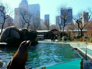 Central Park Zoo billetter