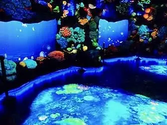 National Geographic Encounter Ocean Odyssey - Det dybe hav