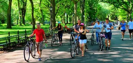 Guidet cykeltur