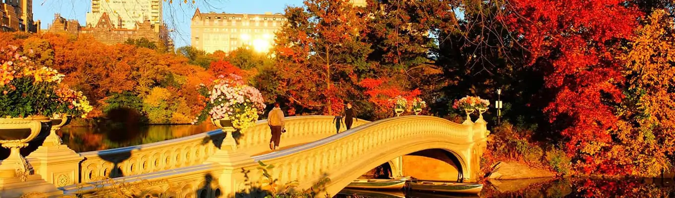 Efterår i Central Park