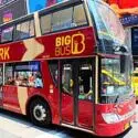Hop-on-hop-off-bus