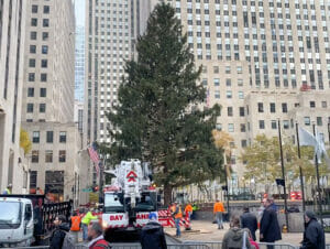 Erics Blog - Rockefeller Christmas Tree