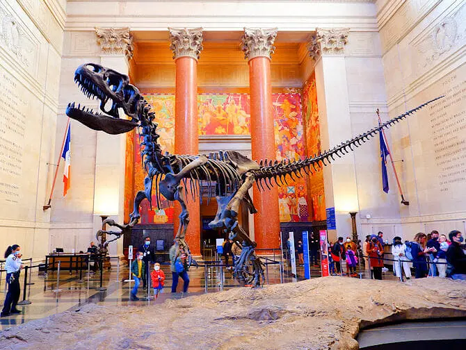 American Museum of Natural History i New York - T-rex