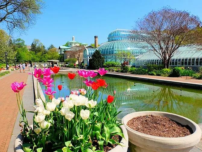 Botanical Gardens i New York - Brooklyn Botanical Garden