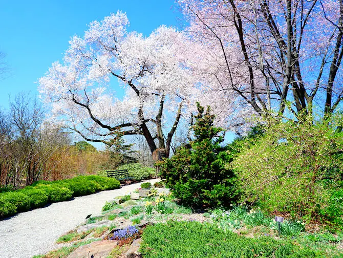 Botanical Gardens i New York - New York Botanical Garden i Bronx