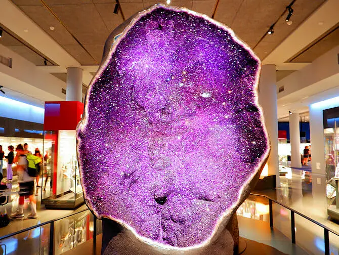 The American Museum of Natural History i New York - Exhibit