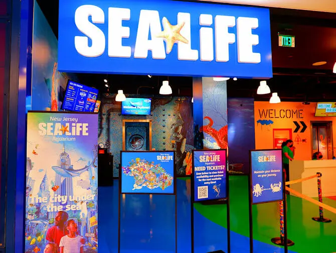American Dream Mall tæt på New York - SEA LIFE Aquarium