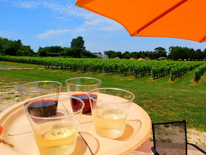 Dagstur til vingård fra New York - vinsmagning