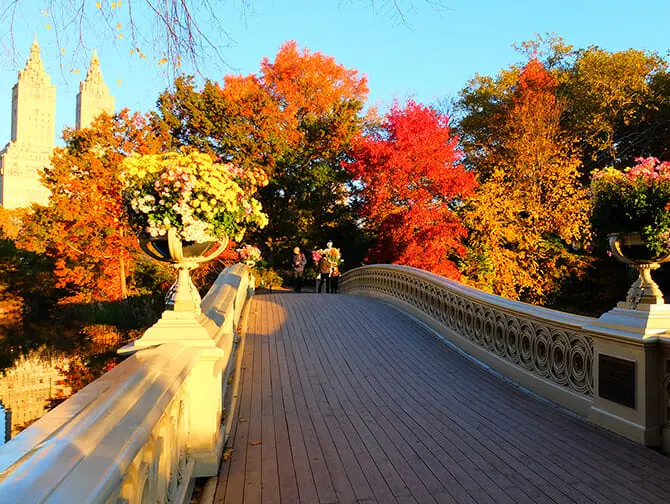 New York vandreruter - Central Park Indtryk