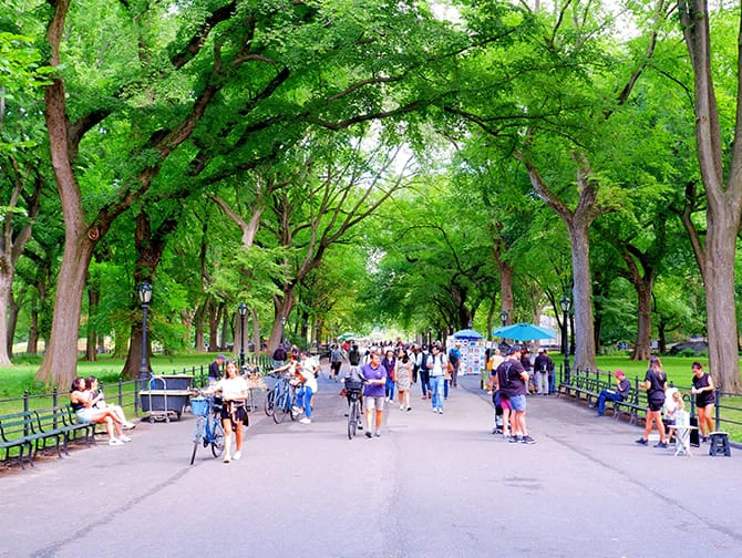 New York vandreruter - Central Park