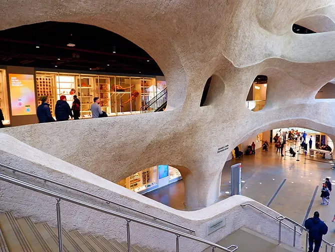 The American Museum of Natural History i New York - udvidelse