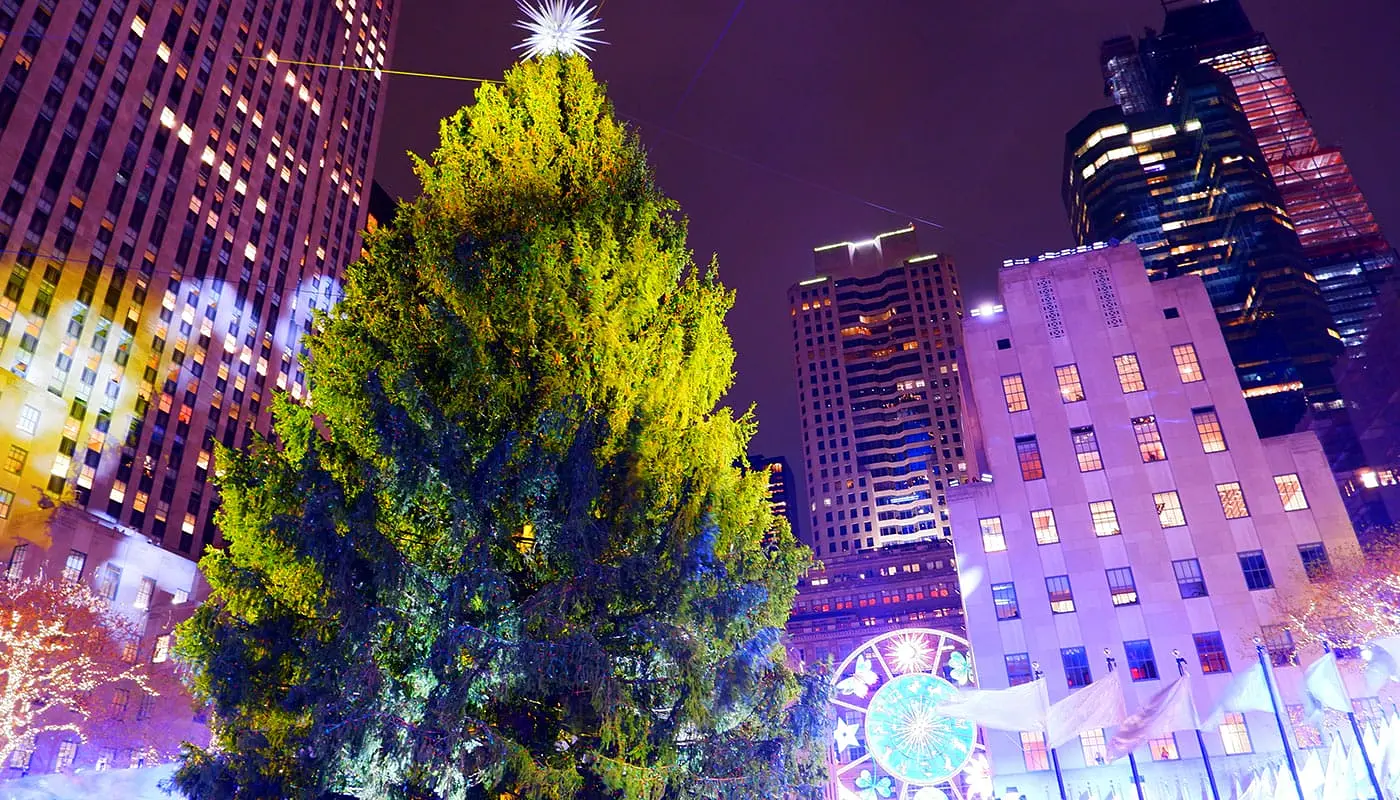 Rockefeller Christmas Tree - Ankomst