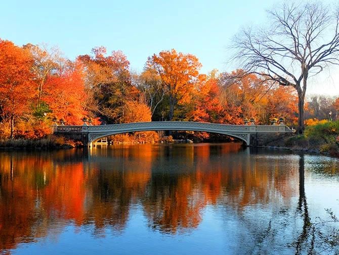 Guidet cykeltur i New York - Bow Bridge