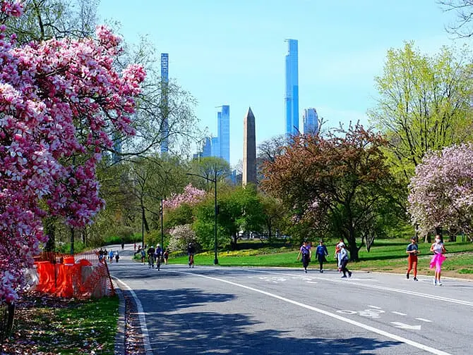 City card New York - Cykel