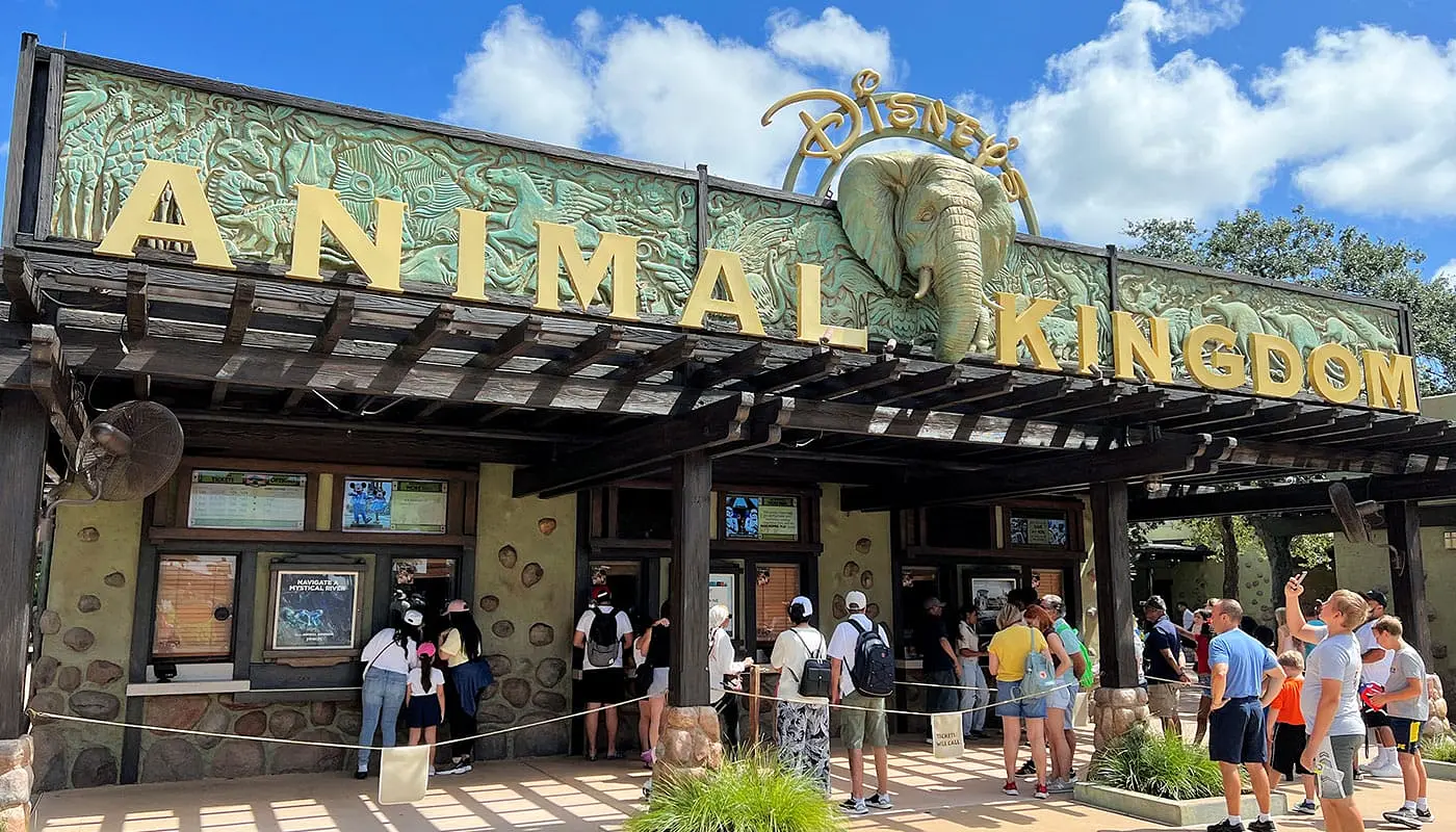 Kombiner New York med Orlando - Animal Kingdom Theme Park