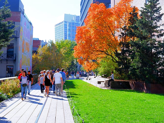High Line i New York - Natur