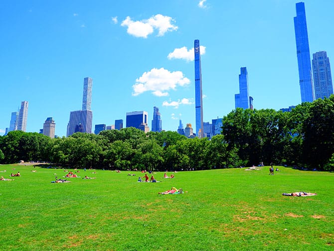 Cykeludlejning i New York med picnic - Sted at have picnic