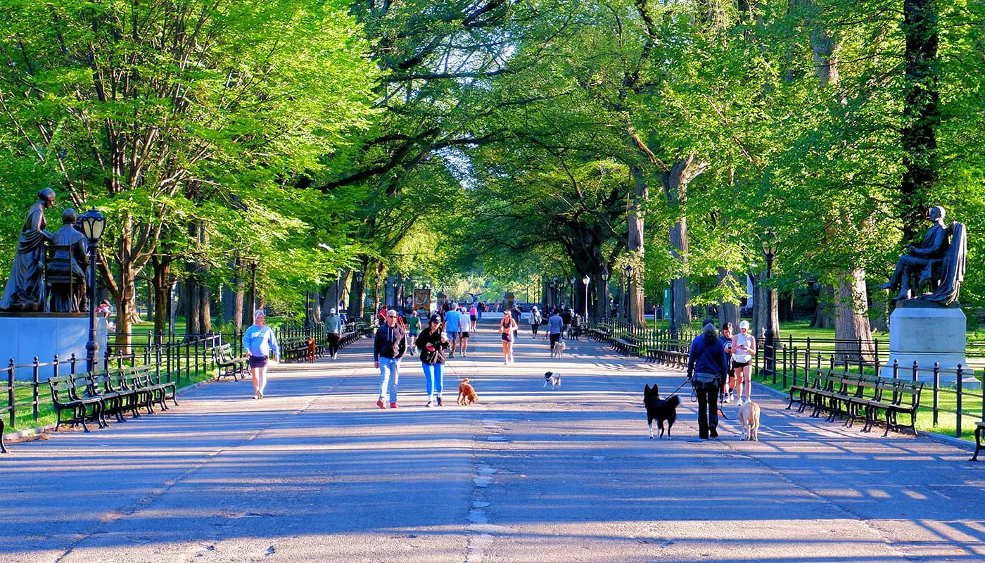 Newyorkere - Folk, der bor i New York