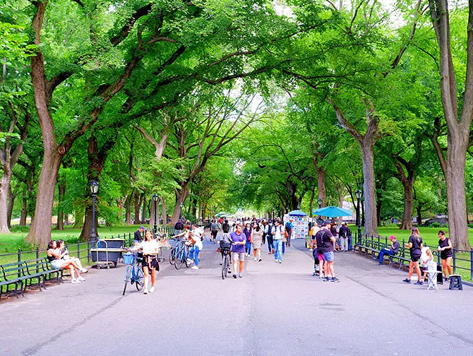Vandrerute i Central Park i New York